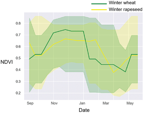 Figure 4. Landsat-8 satellite-based normalized vegetation index (NDVI) time-series variation curves for winter wheat and rapeseed.