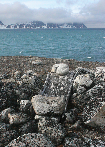 Figure 14. A grave at Likneset, Spitsbergen in Svalbard. The graveyard, which was in use by whalers from the mid-1600s until the end of the 1700s, is the largest graveyard in Svalbard. The wooden coffin visible in the image has been pushed to the surface by active thawing processes.