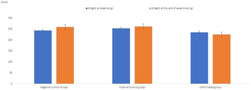 Figure 2 Baseline body weight (gram) vs weight at the end of experiment of the study groups.