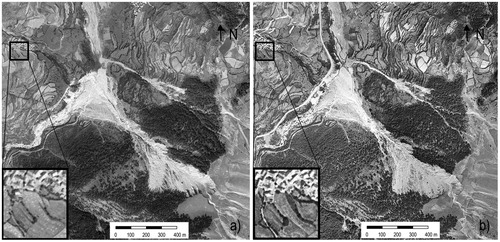 Figure 2. Orthophotographs of the study area obtained from flight 1946 (a) and 1957 (b).