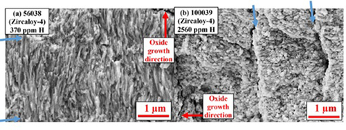 Figure 19. SEM images of 0.4 mm thick Zircaloy-4 coupons corroded for 397 days, (8.7 mm, 370 wt ppm hydrogen, left) and 1804 days, (71.6 mm, 2560 wt ppm hydrogen, right) in an autoclave at 360°C. Locations of transition cracks are shown with blue (dashed) arrows, modified from [Citation131].