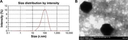 Figure 4 Chemicophysical characterization of PEG-CS/siRNA nanoparticles.Notes: (A) Particle size distribution of PEG-CS/siRNA nanoparticles and (B) TEM image of PEG-CS/siRNA nanoparticles.Abbreviations: PEG-CS, poly(ethylene glycol)-chitosan; siRNA, small interfering RNA; TEM, transmission electron microscope.
