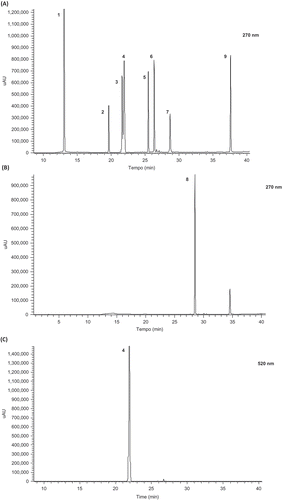 Figure 1. HPLC chromatogram of polyphenols standards (including phenolics, flavonoids, and anthocyanins) used for identification and quantification in organic baby-leaf watercress extracts at 270 nm (A and B) and 520 nm (C): 1, Gallic acid; 2, Chlorogenic acid; 3, Caffeic acid; 4, Cyanidin-3-glucoside; 5, Quercetin-3-O-rutinoside; 6, Luteolin-7-O-glucoside; 7, Dicaffeolyltartaric acid; 8, Quercetin-3-O-rhamnoside; 9, Isorhamnetin. Figura 1. Cromatograma de HPLC de padrones de polifenoles (incluyendo fenólicos, flavonoides y antocianinas) utilizado para la identificación y cuantificación en extractos de brotes de berros ecológicos a 270 nm (A y B) y 520 nm (C): 1, Ácido gálico; 2, Ácido clorogénico; 3, Ácido cafeico; 4, Cianidina-3-glucósido; 5, Quercetina-3-O-rutinoside; 6, Luteolina-7-O-glucósido; 7, Dicaffeolyltartaric ácido; 8, Quercetina-3-O-rhamnósido; 9, Isorhamnetin.