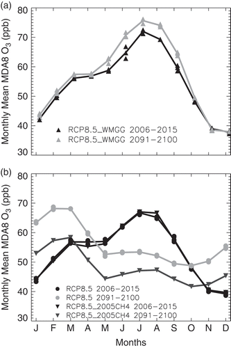 Figure 9. Over the Northeastern U.S.A., NOx emission reductions may guard against a climate penalty (see Key Terms) on MDA8 surface O3 and may reverse the O3 seasonal cycle; rising CH4 induces a year-round O3 increase, most pronounced in winter when the O3 lifetime is longest. Simulated MDA8 surface O3 (ppb) over the northeastern U.S. (36–46° N, 70–80° W; land only) averaged over 2006–2015 (black) and 2091–2100 (gray) in the GFDL CM3 CCM. (a) A regional warming of 5.5°C increases O3 from May to September (gray vs. black triangles), diagnosed from a simulation in which well-mixed GHGs follow RCP8.5 but air pollutants are held fixed at 2005 levels (RCP8.5_WMGG; CH4 follows RCP8.5 for climate forcing but is held at 2005 levels for chemistry). (b) Under the RCP8.5 scenario, CH4 roughly doubles by the end of the century but NOx emissions decline, decreasing O3 during the warm season but increasing it during the cold season (black vs. gray circles). The NOx emission reductions yield summertime O3 decreases but wintertime increases, diagnosed with a sensitivity simulation in which CH4 is held at 2005 levels but all other air pollutants and GHGs follow RCP8.5 (RCP8.5_2005CH4; black vs. gray triangles). Doubling of global CH4 partially offsets the warm season decrease and amplifies the winter–spring increase (gray circles vs. gray triangles). Symbols show decadal averages from individual ensemble members where available; lines show ensemble means. Adapted with permission from Figure S3 of Clifton et al. (Citation2014) according to the license and copyright agreement of American Geophysical Union.