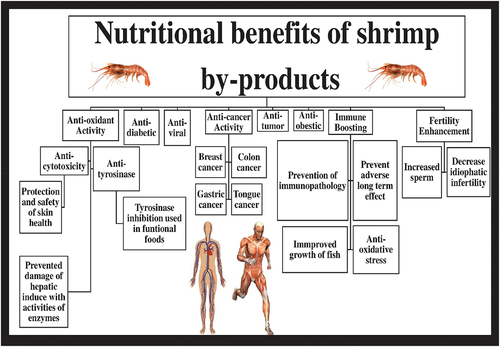Figure 3. Nutritional benefits of shrimp by-products.