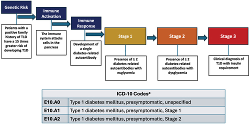 Figure 1 Stages of Type 1 Diabetes Progression.Citation16,Citation17,Citation19 Adapted with permission from https://www.trialnet.org/t1d-facts. aEffective October 1, 2024.