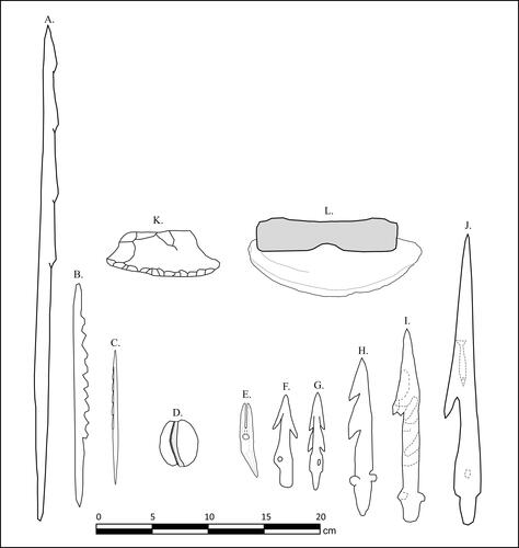 Figure 4. Composite figure depicting elements of material culture associated with maritime-oriented adaptations in circumpolar coastal landscapes. (A,B) Multi-barbed harpoon heads made on bone from the Middle Holocene site of Túnel I, Second Component (Beagle Channel, Tierra del Fuego), after Orquera, Legoupil, and Piana (Citation2011); (C) one of two barbed prongs of a fish arrow collected from a Yup’ik community on Nunivak Island (southwestern Alaska), ca. 1890, after Fitzhugh and Kaplan (Citation1982, 93); (D) stone net sinker from the Second Component of Túnel I (Beagle Channel), after Orquera and Piana (Citation2009); (E) sketch of a typical pre-contact Yup’ik toggling harpoon head; (F) bilateral harpoon with off-center line hole, Hot Springs Village site (southwestern Alaska; 1500–1400 BP), after Maschner (Citation2016, 188); (G) sketch of a typical precontact Yup'ik detachable barbed harpoon made of antler; (H,I) detachable harpoon heads with cross-shaped base made on bone, from the Second Component of Túnel I (Beagle Channel, Tierra del Fuego), after Orquera, Legoupil, and Piana (Citation2011); (J) A large, decorated fish spear head from a Yup’ik community on the Koyuk River, Norton Sound, ca. 1890. Note the carving of a fish. After Fitzhugh and Kaplan (Citation1982, 92). (K) Multi-purpose side-scraper from Túnel I, Second Component (Beagle Channel), after Orquera and Piana (Citation2009). Note the morphological resemblance with the Alaskan uluaq. (I) Sketch of a typical precontact Yup'ik Uluaq (fish-processing knife) with a wooden handle and ground-slate blade.