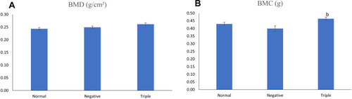 Figure 4 Bone mineral density (A) and bone mineral content (B) of the ex-vivo samples.