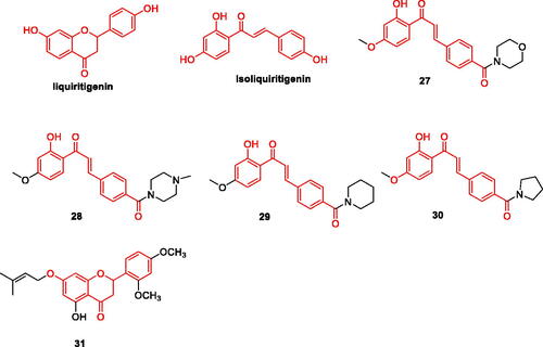 Figure 5. The chemical structure of liquiritigenin/isoliquiritigenin and its derivatives 27–31.