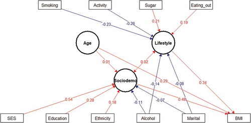 Figure 2. Structural equation model (SEM) of interaction between sociodemographic and lifestyle factors and BMI in men. Latent variables are drawn as circles. Manifest or measured variables are shown as squares. Numbers refer to interaction (correlation) between an indicator and its factor. The blue lines indicate negative interactions and the in red lines indicate positive interactions. All interactions represented in the figure are significant. The variables were tested as both latent and manifest variable and only the most significant interactions were reported in the study.