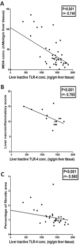 Figure 10. Significant negative correlation between liver inactive TLR-4 concentration and (a) Liver MDA concentration (r = −0.740), (b) Liver necroinflammatory score (r = −0.765) and (c) Liver percentageof fibrotic area (r = −0.560).TLR-4, toll-like receptor-4; MDA, malondialdehyde