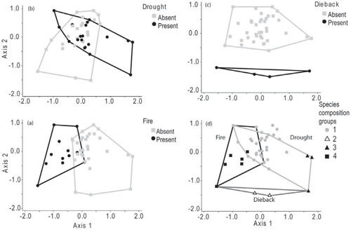 FIGURE 5. The two most important axes of a non-metric multidimensional scaling ordination of pollen assemblages from Wai'ānapanapa on east Maui, which show samples with evidence of (a) drought, (b) fire, and (c) dieback. (d) shows four species composition groups defined by a stratigraphically unconstrained cluster analysis (MRPP, A = 0.20, P = 0; also see Figs. 4, parts a and b) with polygons surrounding the three disturbance types. Axis 1 explains 54.5% of the variation in species composition, and axis 2 explains 27.8% (axis 3, not shown, explains 10.9%).