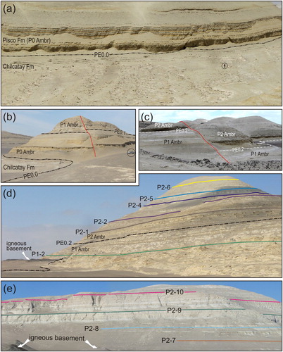 Figure 4. Annotated panoramic photographs of Pisco outcrops showing: (a) eastward view of the upper part of the Chilcatay Formation overlain along an unconformably contact by the marine deposits of the P0 allomember at Cerro los Tinajones (circled geologist for scale); (b) the vertically staked marine deposits of P0 and P1 at Cerro Submarino (circled car for scale); (c) outcrop view of sediments in the vicinity of the unconformity surface between allomembers P1 and P2 (PE0.2) at Cadenas de los Zanjones; (d) crystalline basement nonconformably overlain by P1 strata and ledge-forming marker beds within P1 and P2 (Cerro la Bruja); (e) crystalline basement nonconformably overlain by P2 strata and ledge-forming marker beds serving as formidable correlation tools over wide areas within P2 (Cerro Hueco la Zorra).