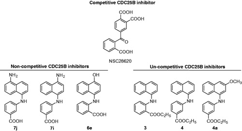 Figure 1. Chemical structure of CDC25B inhibitor NSC28620 and selected NPA derivatives.