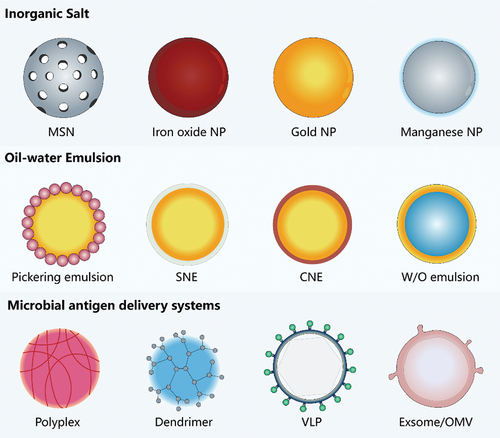 Figure 2. Illustration of innovative carriers employed as VADS. Note: MSN: mesoporous silica nanoparticles; NP: nanoparticle; Manganese NP (‘MnJ’); SNE: stable nano-emulsion containing phospholipids such as DSPC (‘ANE, adjuvant nano-emulsion’); CNE: cationic nano-emulsion (DOTAP); OMV: Outer membrane vesicles.