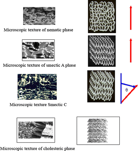 Figure 9 Schematic representation of different liquid crystalline phases.