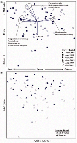 Figure 3. NMS ordination of macroinvertebrate assemblages from the Upper Mississippi River at the HB Generating Station in St. Paul, MN. (a) Illustrates seasonal and annual groupings among 3 survey periods in 2008 and 2009. Vectors indicate taxa (r 2 > 0.37) associated with axes. ‘T w/o HC’ indicates Tubificidae without hair chaetae. (b) Same ordination but symbols indicate sample depth.