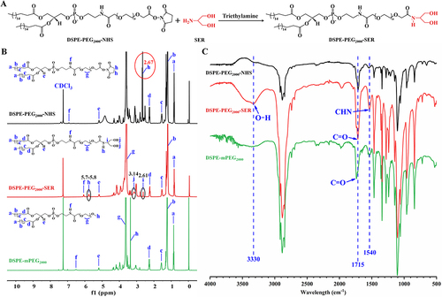 Figure 2 Synthesis and characterization of DSPE-PEG2000-SER.