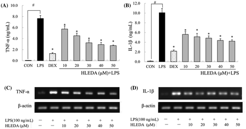 Fig. 4. Effect of HLEDA on LPS-induced TNF-α and IL-1β production and mRNA expression in RAW264.7 cells. A-B: Effect of HLEDA on LPS-induced TNF-α (A) and IL-1β (B) production. The concentration of TNF-α and IL-1β secreted by RAW264.7 was measured by commercially available sandwich ELISA kits. Control (CON) values were obtained in the absence of LPS and HLEDA. LPS values were obtained in the presence of LPS (100 ng/mL) and absence of HLEDA. The positive control (DEX) was obtained in the presence of LPS (100 ng/mL) and Dexamethasone (10 μM). Three independent experiments were performed with similar results. Data is expressed as mean ± S.D. Student’s t-test was used to determine significant differences between two groups. #p < 0.05 vs. negative controls (CON); *p < 0.05 vs. 100 ng/mL LPS-treated cells. C-D: Effects of HLEDA on mRNA expression of TNF-α and IL-1β in LPS-stimulated macrophages. RAW 264.7 cells were preincubated with various concentrations of HLEDA for 1 h and were then treated with 100 ng/mL LPS for an additional 2 h. mRNA expression of TNF-α (C) and IL-1β (D) was analyzed by real-time RT-PCR and β-actin was used as the internal control.