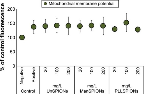 Figure 6 Effect of SPIONs on mitochondrial membrane potential measured by DiOC6 staining in neural stem cells after 4 hours of exposure.Notes: The data, expressed as the mean of three independent experiments conducted in five replicates, were calculated as percentages of the values measured in negative controls (cells in nanoparticle-free exposure media). Positive controls are cells treated with 100 μM of hydrogen peroxide. Error bars represent standard deviation. All treatments were significantly different from negative controls at P<0.05.Abbreviations: SPIONs, superparamagnetic iron oxide nanoparticles; UnSPIONs, uncoated SPIONs; ManSPIONs, D-mannose-coated SPIONs; PLLSPIONs, poly-L-lysine-coated SPIONs.