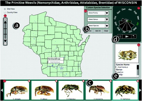 Figure 1. Weevil viewer (Main map: http://www.geography.wisc.edu/maps/WeevilViewer/) consists of five coordinated panels: (a) the map panel (shown when Site View is selected), (b) the custom species selection panel, (c) the selected species panel, (d) the nightingale temporal clock panel, and (e) the information panel.