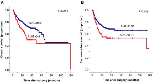 Figure 3 Kaplan–Meier cumulative overall survival (A) and recurrence-free survival (B) curves of patients stratified according to the AIAG.
