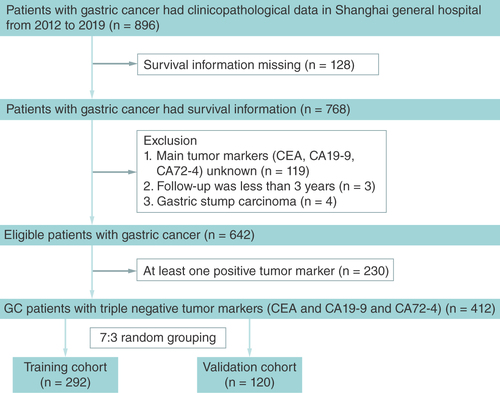 Figure 1. Flowchart of study sample selection. CEA: Carcinoembryonic antigen; GC: Gastric cancer.
