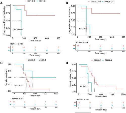 Figure 5 Kaplan–Meier curve indicated that SCLC patients with LRP1B (A) or MAP3K13 (B) mutation had significantly shorter PFS. SCLC patients with MSH6 mutation had significantly longer OS (C) while OS was significantly shorter in patients with SPEN mutation (D).