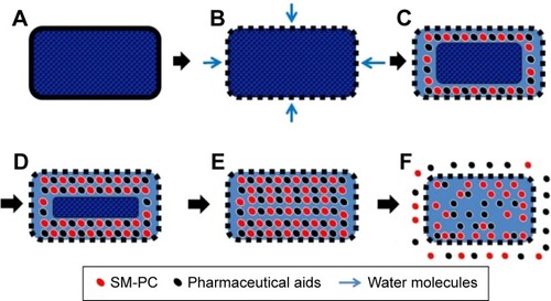 Figure 5 Schematic diagram of drug dissolution of SM MPOP.