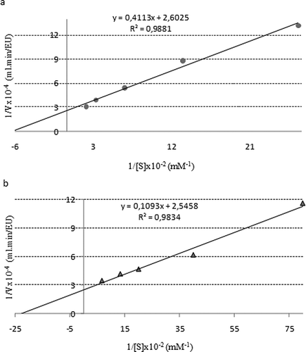 Figure 5 Lineweaver-Burk graphs using two different substrates: (a) with guaiacol substrate and (b) with pyrogallol substrate.