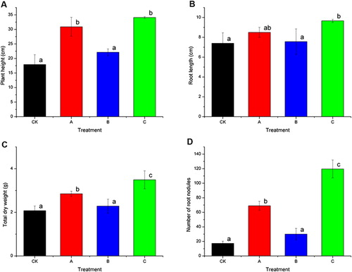 Figure 5. Effects of laccase product on agronomic traits of peanut. CK: soil with no additions; A: soil supplemented with P. liquidambari B3; B: fermentation medium containing food waste and wheat straw, un-inoculated with P. liquidambari B3; C: fermentation broth containing food waste and wheat straw, inoculated with P. liquidambari B3 (laccase activity, 607.2 ± 4.7 U/mL). Data are the means of three replicates with standard errors. Different lowercase letters indicate significant difference among different treatments (p < 0.05, Duncan’s test).