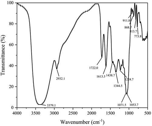 Figure 2. FT-IR spectrum of the aqueous pomegranate peel extract.