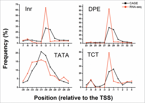 Figure 3. Distribution of core promoter elements’ occurrence at specific positions. The frequency of detected elements (dInr, DPE, TATA, and dTCT) at the allowed positions relative to the determined TSS is presented. The +1 position is the predicted TSS location. Black squares depict the frequency of discovered elements using CAGE whereas red circles depict the frequency of discovered elements using RNA-seq. For both CAGE (black) and RNA-seq (red) data, an enrichment in the frequency of discovered elements is detected at the expected positions (-30 for TATA, -2 for dInr and dTCT and 28 for DPE).