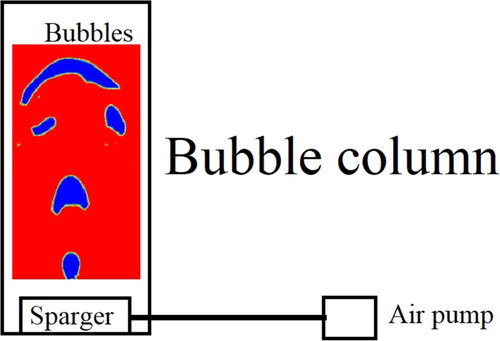 Figure 1. Schematic of the bubble column reactor and sparging bubble through the Sparger.