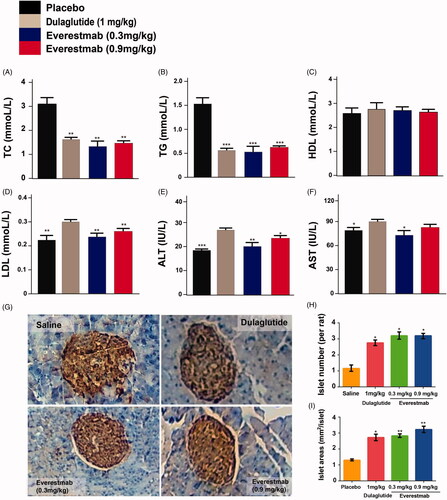 Figure 9. The effects of chronic everestmab treatment on blood biochemistry indexes (A–D) and pancreas HE staining (E) and H&E staining of insulin (F). Results are presented as means ± SD (n = 8 each group). *p<.05; **p<.02; ***p<.001, comparing saline to GLP-1R agonists injection.