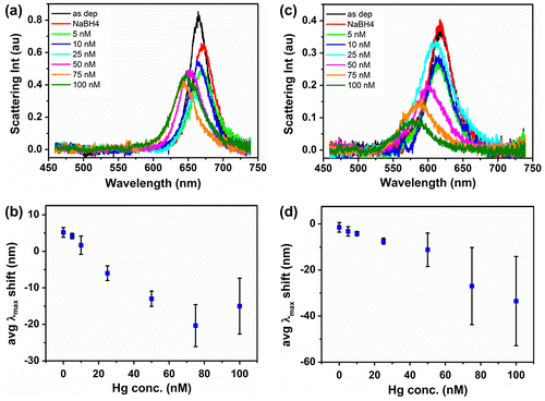 Figure 5. Typical set of scattering spectra for an individual gold nanorod exposed to incremental amounts of Hg(II) in presence of reducing agent NaBH4 in river water (a) and tap water (c). Average scattering maxima wavelength shifts of gold nanorods in dependence of Hg(II) concentration averaged over 10 nanorods on one sample in river water (b) and tap water (d).