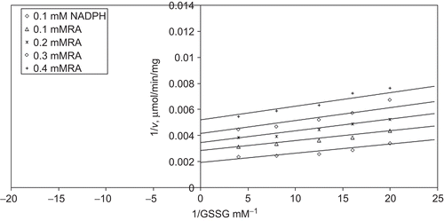 Figure 6.  Inhibition kinetics of yeast glutathione reductase (GR). Lineweaver–Burk double reciprocal plot of initial velocity against oxidized glutathione (GSSG) as varied substrate and rosmarinic acid (RA) (0.1–0.4 mM) as inhibitor at different fixed NADPH (0.1 mM) concentrations.
