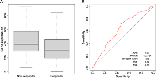 Figure 3 Predictive value of KIF20A in assessing the treatment outcome of TAM in ER-positive BC patients, evaluated using the ROC Plotter. (A) The comparison of KIF20A gene expression between patients with ER-positive BC who responded and did not respond to TAM therapy (P < 0.001, Mann–Whitney test). (B) The ROC curve depicting the predictive value of KIF20A expression for TAM treatment outcome in patients with ER-positive BC receiving TAM therapy (AUC = 0.63, P < 0.001).