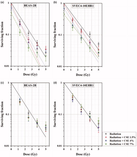 Figure 6. The clonogenic surviving fractions of BEAS-2B (a, c) and SVEC4-10EHR1 (b, d) cells, varying with the dose of alpha particle exposure in the CSE-free or CSE-treated culture medium: (a, b) with the SF value at 0 Gy in CSE-free culture medium normalized to 1 and (c, d) with the SF values at 0 Gy normalized to 1 individually for different CSE concentrations in the culture medium. The error bars represent standard errors.