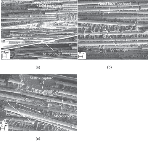 Figure 11. Fracture surface SEM image of re-dried specimens. (a) Tap water. (b) Sea water. (c) Rain water.