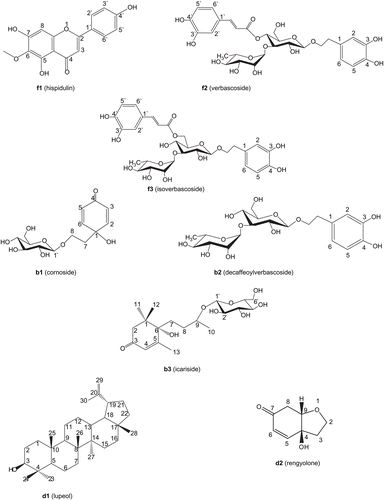 Figure 1.  The isolated compounds of C. chinense.