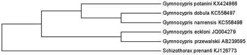 Figure 1. Phylogenetic relationships among five species of Gymnocypris inferred from minimum evolution of deduced amino acid sequences of 12 mitochondrial proteins. The numbers on the branches are bootstrap values for ME.