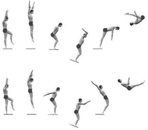 Figure 1. Takeoff for forward somersaulting springboard dive (upper sequence) and reverse somersaulting springboard dive (lower sequence), showing hurdle takeoff, hurdle flight, hurdle landing, maximum board depression, dive takeoff, and flight.