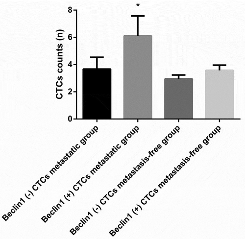 Figure 7. The expression of Beclin1 in CTCs preoperatively in the metastasis-free group and metastatic group. (Data were presented as mean ± SD and P < 0.05 was considered statistically significant. * P < 0.05 Beclin1 (+) CTCs vs. Beclin1 (-) CTCs in the metastatic group).