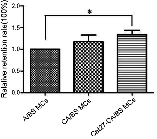 Figure S3 Relative retention rates of A/BS MCs, CA/BS MCs, and Cat27-CA/BS MCs (n=5 per group) on the mucin-coated surface after PBS washing.Note: *Significant differences.Abbreviations: A/BS MCs, alginate/barium sulfate microcapsules; CA/BS MCs, chitosan alginate/barium sulfate microcapsules; Cat27-CA/BS MCs, catechol-27–chitosan alginate/barium sulfate microcapsules.