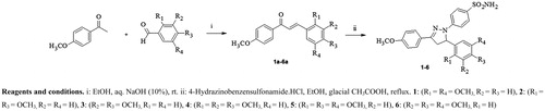 Scheme 1. Synthetic pathway of the pyrazoline bearing benzenesulfonamides 1–6. Reagents and conditions. i: EtOH, aq. NaOH (10%), rt. ii: 4-Hydrazinobenzensulfonamide.HCl, EtOH, glacial CH3COOH, reflux. 1: (R1 = R4 = OCH3, R2 = R3 = H), 2: (R1 = R3 = OCH3, R2 = R4 = H), 3: (R2 = R3 = OCH3, R1 = R4 = H), 4: (R1 = R2 = R3 = OCH3, R4 = H), 5: (R1 = R3 = R4 = OCH3, R2 = H), 6: (R2 = R3 = R4 = OCH3, R1 = H).