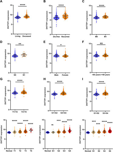 Figure 2 Clinical and molecular characteristics of the patients. (A) overall survival status, (B) disease free status, (C) M stage, (D) N stage, (E) sex, (F) age, (G) T stage, (H) grade, and (I) TNM stage. *P < 0.05, **P < 0.01, ***P < 0.001 and ****P < 0.0001.