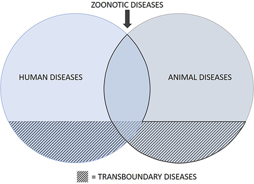 Figure 2 Venn diagram outlining diseases to consider when determining priority transboundary zoonotic diseases.