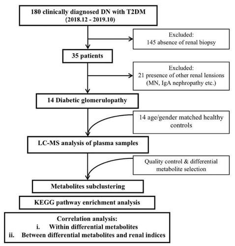 Figure 1. Flow chart of study design.