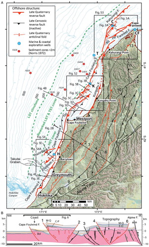 Figure 2. A, Pliocene–Quaternary faults of North Westland, lying west of the Alpine Fault (modified from Ghisetti et al. Citation2014). Reverse faults in red are compressionally reactivated normal faults. No evidence of reactivation exists for the reverse faults in black. Offshore faults in bold red belong to the North Westland deformation front. Fault names are: 1, Kongahu–Lower Buller–Canoe; 2, Inangahua–Maimai; 3, Lyell; 4, White Creek; 5, Maunga; 6, Matiri–Matakitaki; 7, Tainui; 8, Tutaki; 9, Hohonu; 10, Karamea; 11, Anatoki; 12, Pikikiruna; 13, Wakamarama. Bathymetric contours (m bsl) are from the NIWA bathymetric database (www.bathymetry.co.nz), with the contour interval at 50 m on the slope beyond 200 m water depth, and 10 m inside 200 m water depth. Green dashed lines define sedimentary systems of the last sea-level cycle (HST, highstand systems tract; TST, transgressive systems tract; LST, lowstand systems tract). B, Geological cross-section (modified from section T11 in Ghisetti et al. Citation2014); fault colours as in part A. Bst, undifferentiated metamorphic and igneous basement; C–P, Cretaceous–Paleocene units; E–O, Eocene–Oligocene units; M–Q, Miocene–Quaternary units.